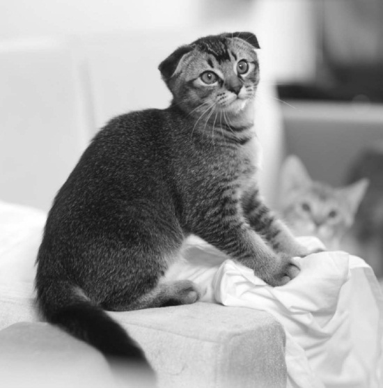 РЖУниМАГУ в самом нужном месте - i_023.jpg