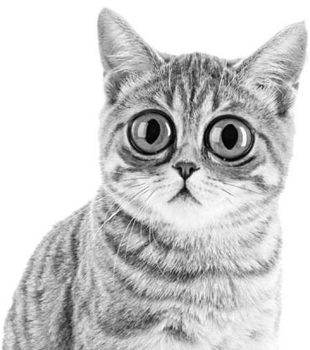 РЖУниМАГУ в самом нужном месте - i_024.jpg