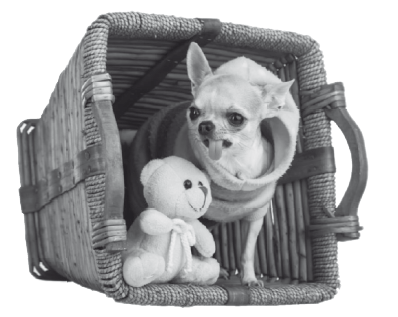 РЖУниМАГУ в самом нужном месте - i_030.png