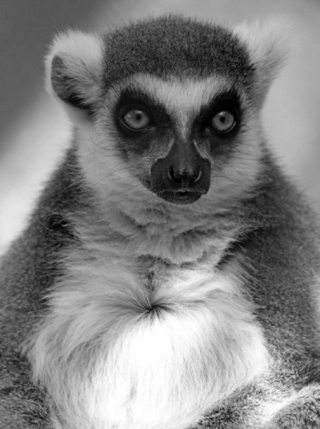 РЖУниМАГУ в самом нужном месте - i_036.jpg