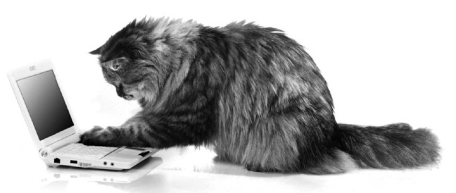 РЖУниМАГУ в самом нужном месте - i_068.jpg