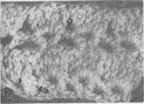 Декоративное вязание - pic_165.jpg