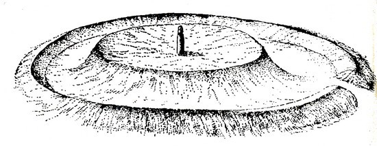 Обитель богов. Колыбель Ригведы и Авесты - i_018.jpg