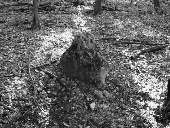 Обитель богов. Колыбель Ригведы и Авесты - i_043.jpg