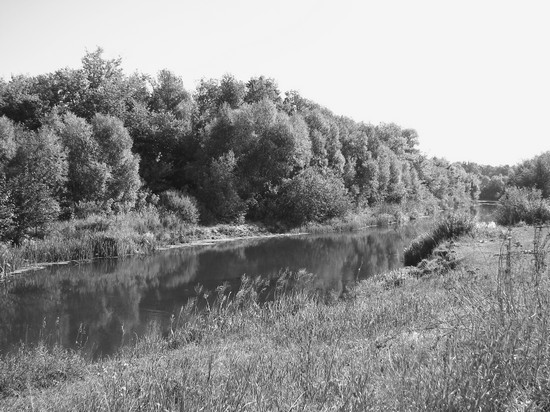 Обитель богов. Колыбель Ригведы и Авесты - i_045.jpg