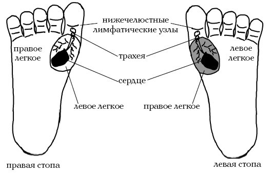 Золотые рецепты су-джок - i_015.jpg