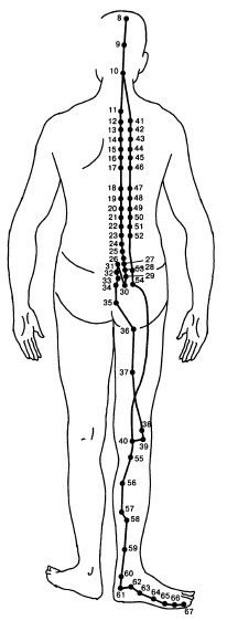 Кисть и стопа: лечение по энергетическим точкам. Секреты красоты и здоровья. Су-джок - i_023.jpg