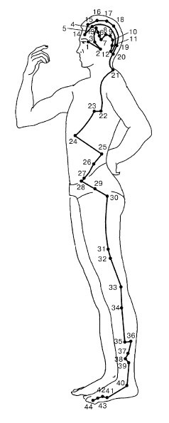Кисть и стопа: лечение по энергетическим точкам. Секреты красоты и здоровья. Су-джок - i_024.jpg