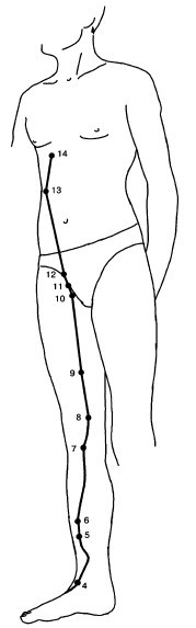 Кисть и стопа: лечение по энергетическим точкам. Секреты красоты и здоровья. Су-джок - i_026.jpg