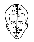 Кисть и стопа: лечение по энергетическим точкам. Секреты красоты и здоровья. Су-джок - i_032.jpg
