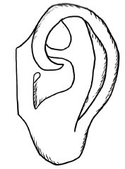 Кисть и стопа: лечение по энергетическим точкам. Секреты красоты и здоровья. Су-джок - i_034.jpg