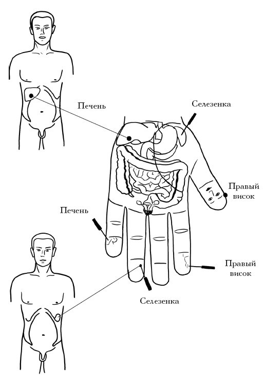 Кисть и стопа: лечение по энергетическим точкам. Секреты красоты и здоровья. Су-джок - i_042.jpg