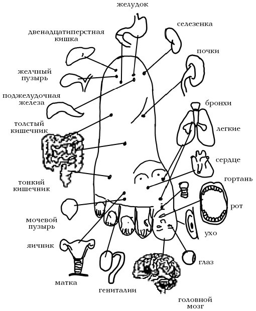 Кисть и стопа: лечение по энергетическим точкам. Секреты красоты и здоровья. Су-джок - i_054.jpg