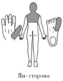 Кисть и стопа: лечение по энергетическим точкам. Секреты красоты и здоровья. Су-джок - i_058.jpg