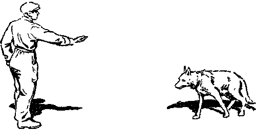 Дрессировка служебных собак - i_020.png