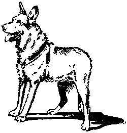 Дрессировка служебных собак - i_035.png