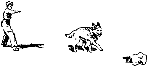 Дрессировка служебных собак - i_021.png