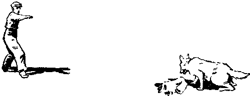 Дрессировка служебных собак - i_022.png