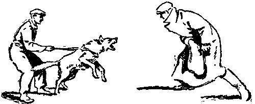 Дрессировка служебных собак - i_036.png