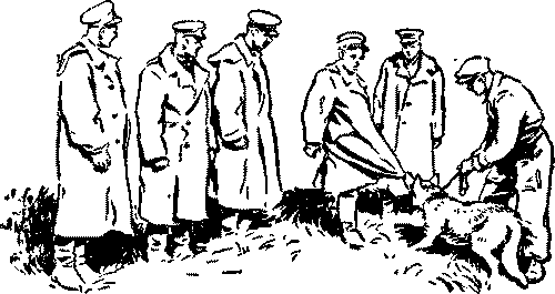 Дрессировка служебных собак - i_044.png