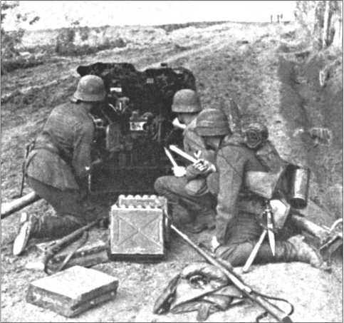 «Тигры» в снегу<br />Мемуары танкового аса - i_004.jpg