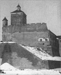 «Тигры» в снегу<br />Мемуары танкового аса - i_114.jpg