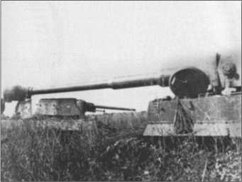 «Тигры» в снегу<br />Мемуары танкового аса - i_253.jpg