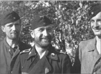 «Тигры» в снегу<br />Мемуары танкового аса - i_266.jpg