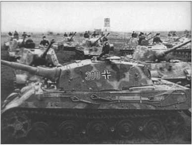 «Тигры» в снегу<br />Мемуары танкового аса - i_307.jpg