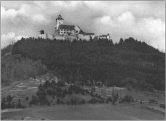 «Тигры» в снегу<br />Мемуары танкового аса - i_328.jpg