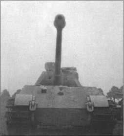 «Тигры» в снегу<br />Мемуары танкового аса - i_331.jpg