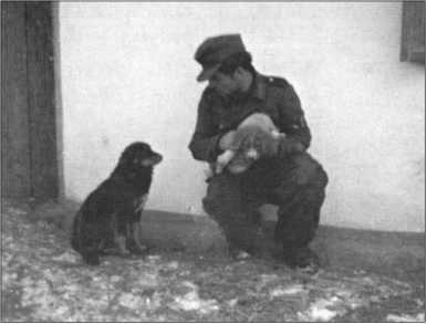 «Тигры» в снегу<br />Мемуары танкового аса - i_355.jpg