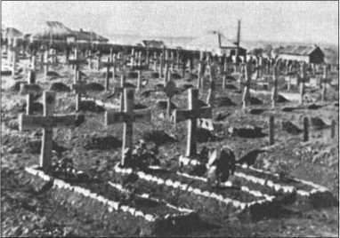 «Тигры» в снегу<br />Мемуары танкового аса - i_370.jpg