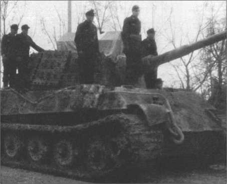 «Тигры» в снегу<br />Мемуары танкового аса - i_374.jpg
