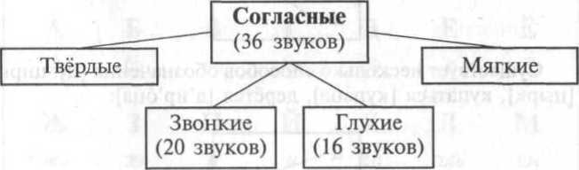 Фонетический разбор слова - _4.jpg