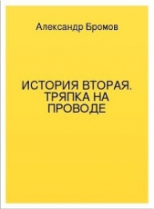  Бромов Александр - История вторая. Тряпка на проводе
