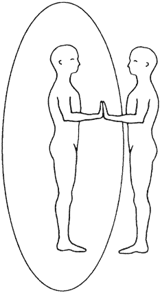 Наследие Плеяд. Пробуждение энергии Ка - i_018.png