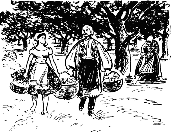 Золотой человек - p0307.png