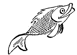 Пять Робинзонов - pic_36.png