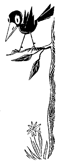 Пять Робинзонов - pic_81.png