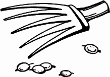 Сезон урожая. Собираем и храним - _04.png