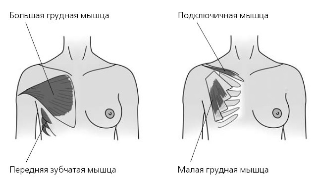 Упругие ягодицы. 25 лучших упражнений - i_002.jpg