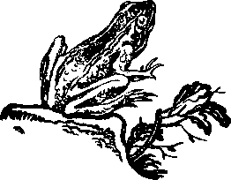 Сослан-богатырь, его друзья и враги - _4post.png