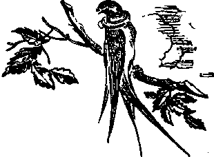 Сослан-богатырь, его друзья и враги - _11post.png