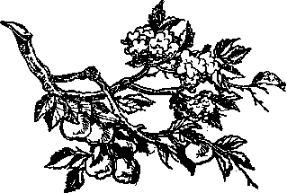 Сослан-богатырь, его друзья и враги - _19post.png