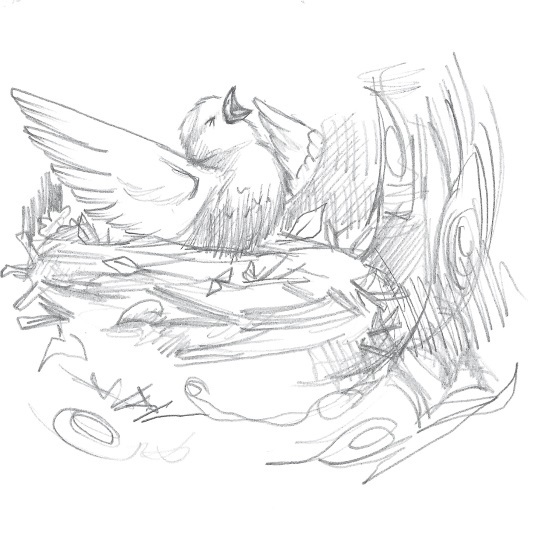 Лисичка Тыковка, или Лунный камень - i_012.jpg