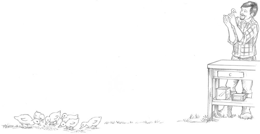 Утёнок Элли, или Украденный праздник - _011.jpg