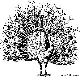 Грот афалины - any2fbimgloader12.jpg