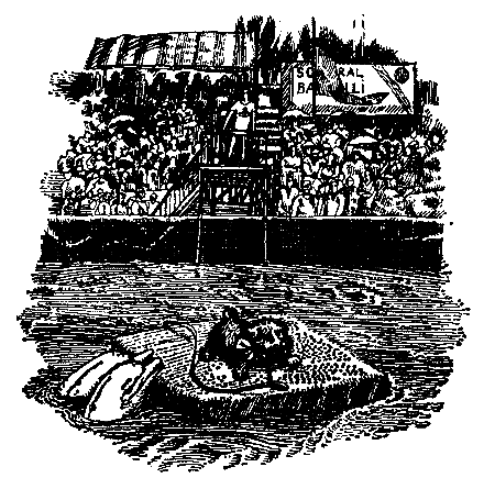 Грот афалины (илл. В. Барибы) - pic_14.png