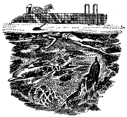 Грот афалины (илл. В. Барибы) - pic_15.png